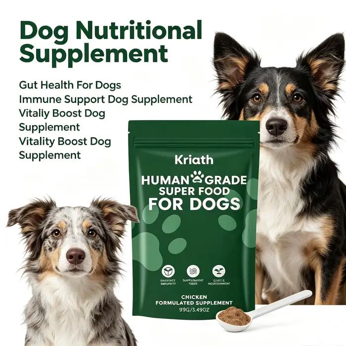 Poudre nutritionnelle pour chiens : favorise la digestion, équilibre la flore intestinale, stimule l