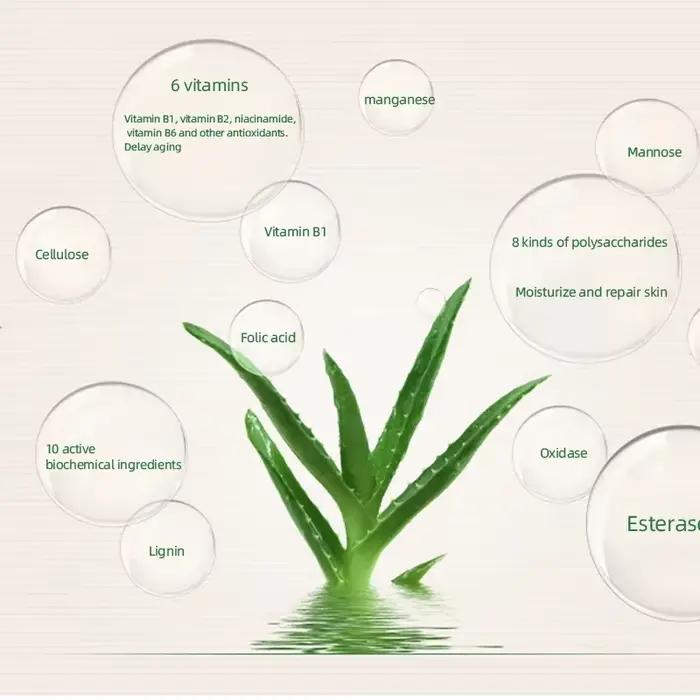 Poudre hydratante à l'aloe Vera pour le visage