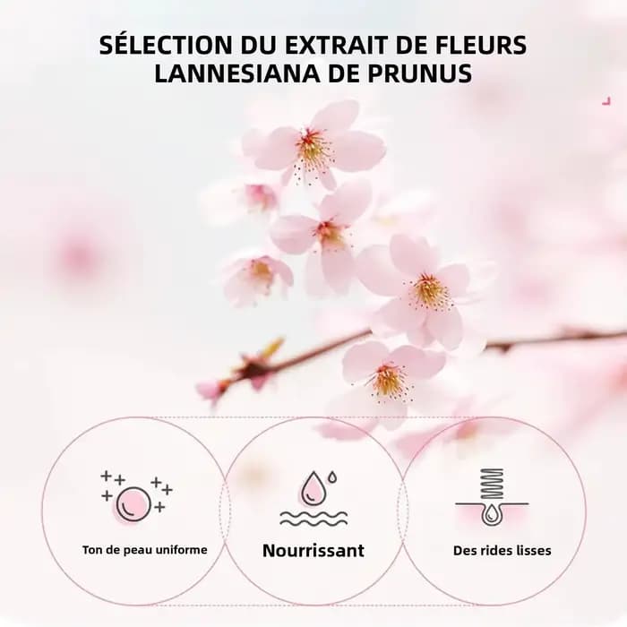 Sakura – ensemble de soins pour la peau
