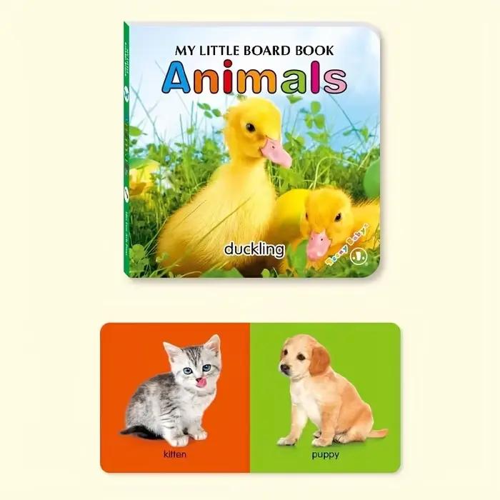Livre de cartes à motifs colorés, cadeau interactif pour le développement sensoriel, les couleurs vives favorisent l'éducation précoce à la lecture