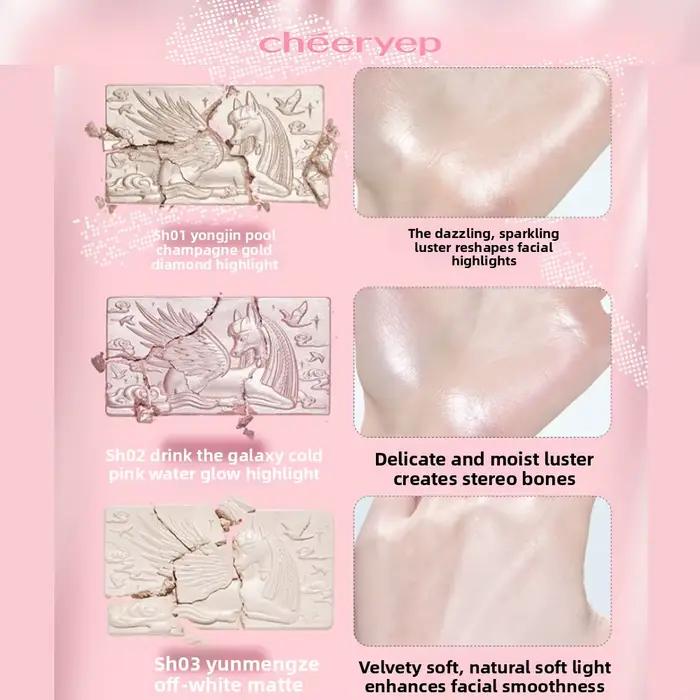 Ensemble de surligneurs professionnels Chéeryep