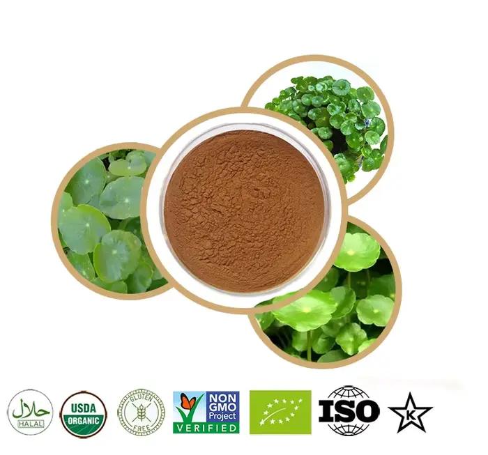 Pot de poudre de centella kola/polole en silicone