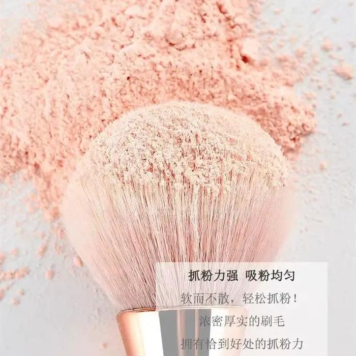 Pinceau à poudre et blush professionnel