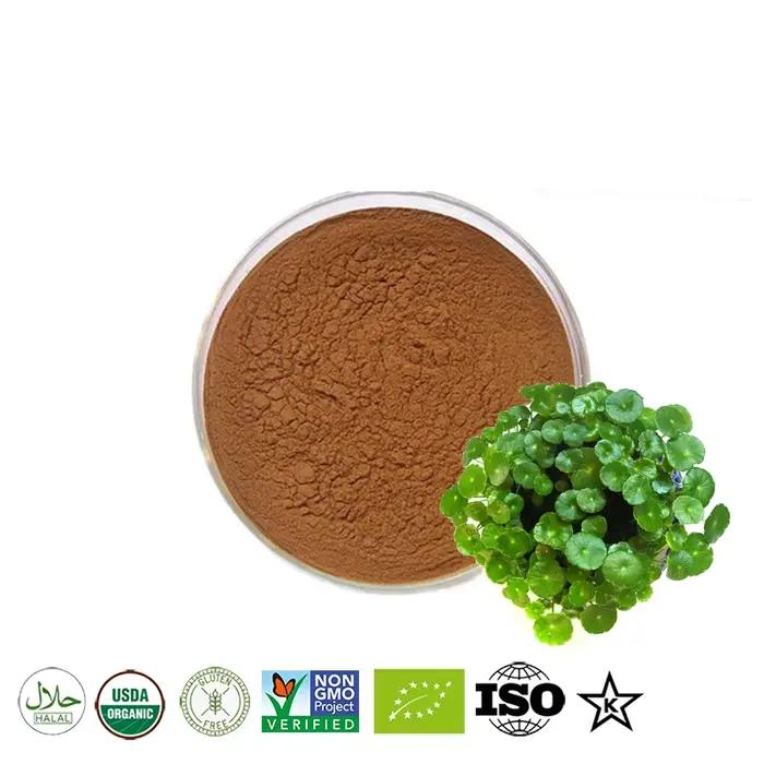 Pot de poudre de centella kola/polole en silicone