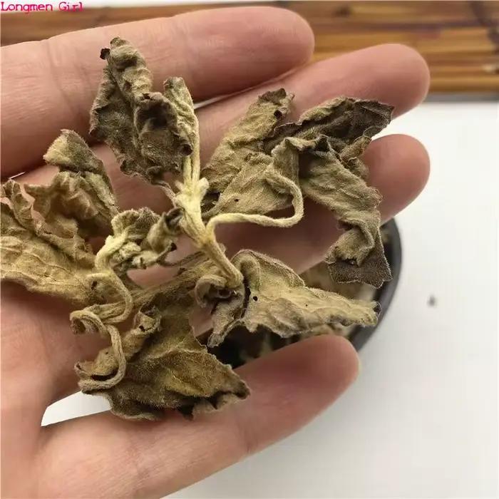 Patchouli séché naturel de haute qualité, polyvalent Guang Huo Xiang pour bricolage, savon artisanal, encens, fabrication de parfum domestique, décoration de maison