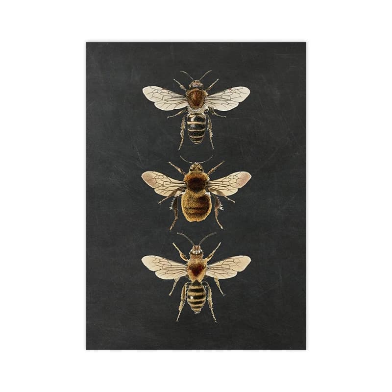 Affiche murale rustique avec motifs d'abeilles reines, décoration de ferme, poster vintage abeille e