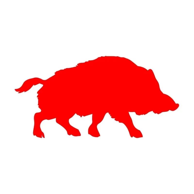 Autocollant de voiture drôle en vinyle motif cochon sauvage pour moto, vitre de voiture, carrosserie