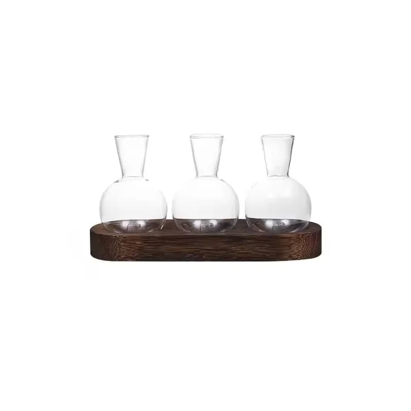 Terrarium en verre pour plantes avec plateau en bois – Pour la propagation hydroponique en intérieur