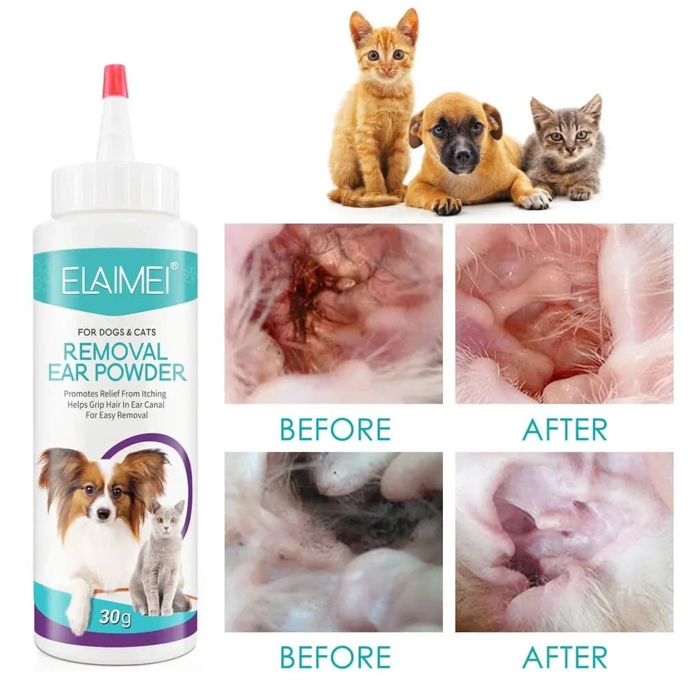 Poudre d'oreille pour animaux de compagnie, pour chiens et chats, soins de santé pour oreilles d'ani