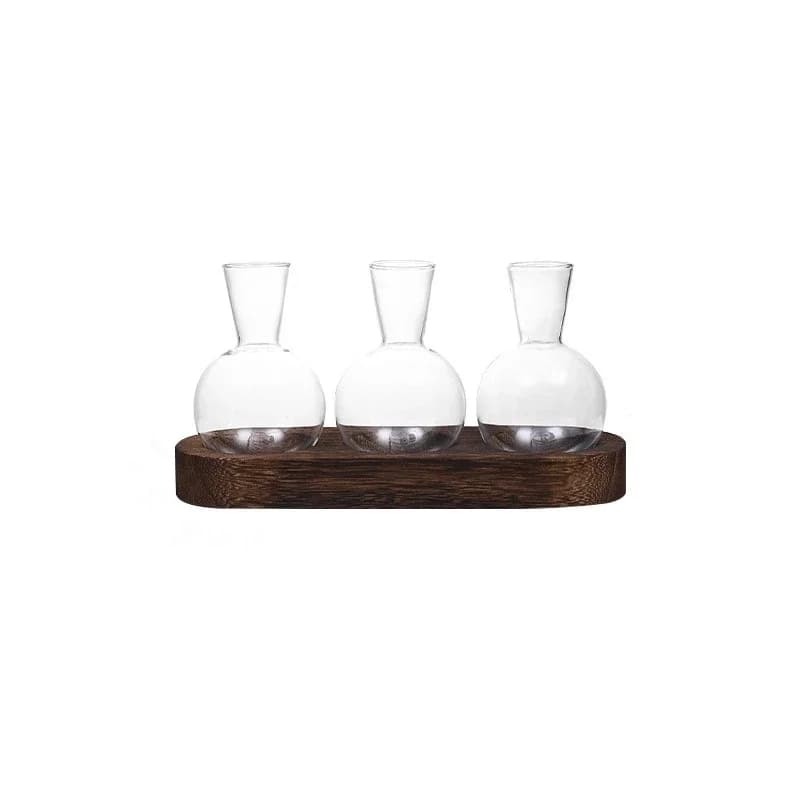 Terrarium en verre pour plantes avec plateau en bois – Pour vase hydroponique d'épandation intérieur