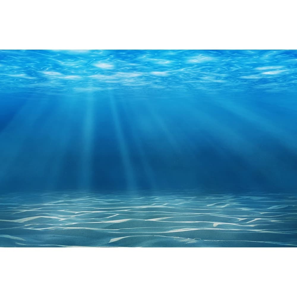 Toile de fond du monde sous-marin pour la photographie, fond d'aquarium sous-marin d'été, lieux de p