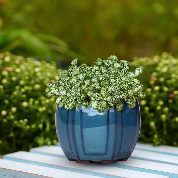 Pots de jardinières de jardin en céramique Pots de plantes en céramique avec trous de Drainage conception pour balcon salon chambre