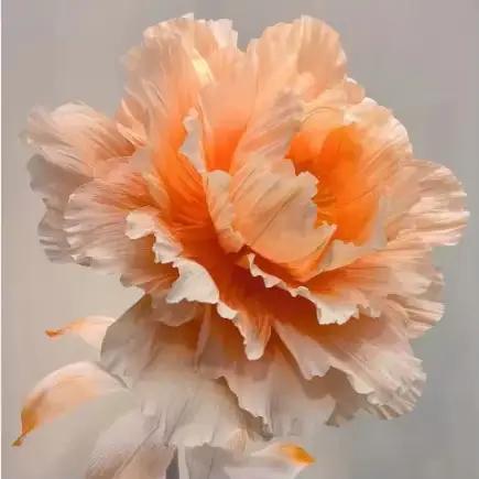 Grande tête de fleur de pivoine artificielle en papier pour décoration de mariage, guide de chemin, mur floral, fond de scène, décoration intérieure, aménagement de fenêtre de fête