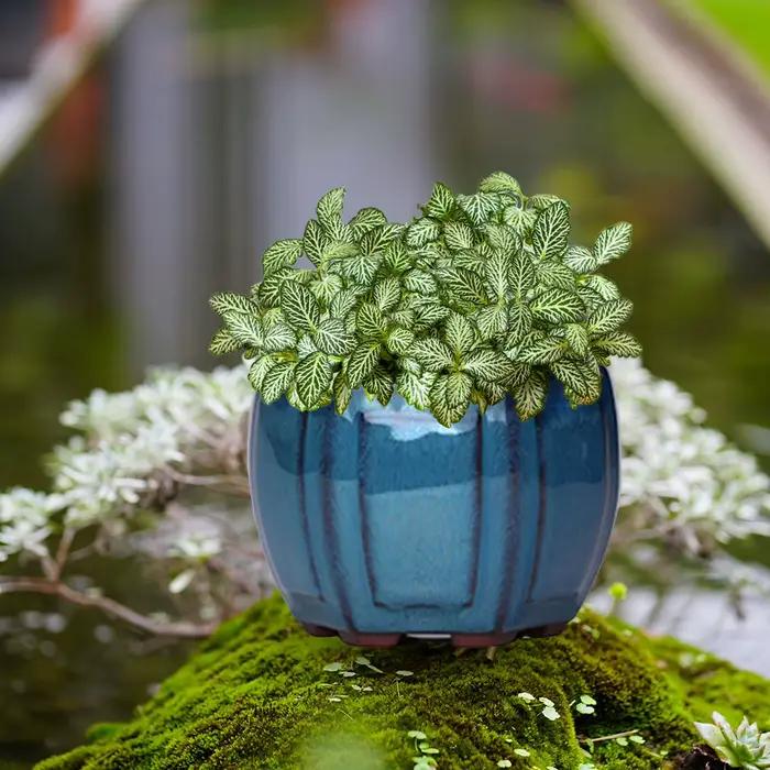 Pots de jardinières de jardin en céramique Pots de plantes en céramique avec trous de Drainage conception pour balcon salon chambre