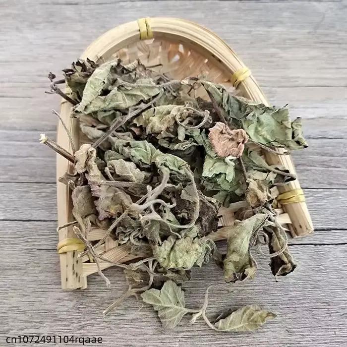 Feuilles de Pogostemon Cablin naturelles séchées (Patchouli/Perilla) pour la fabrication de savons, bougies, encens, parfums domestiques, sachets et garnitures de coussins
