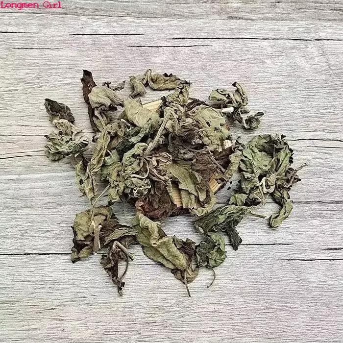 Encens de bougie naturel parfumé, Pogostemon, Bablin, Patchoumovies séchés, cuir chevelu pour Regina, parfum domestique, cadre, remplissage d'oreiller Vauxhall