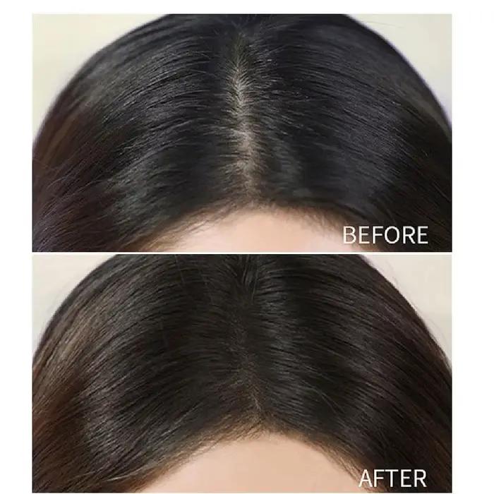 Poudre de ligne de cheveux noire et brune