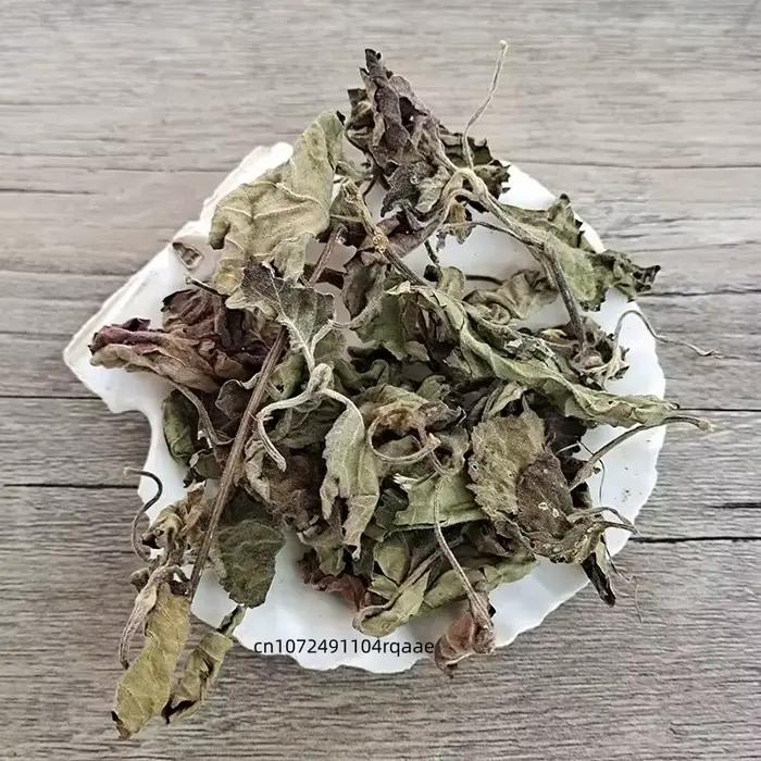 Feuilles de Pogostemon Cablin naturelles séchées (Patchouli/Perilla) pour la fabrication de savons, bougies, encens, parfums domestiques, sachets et garnitures de coussins