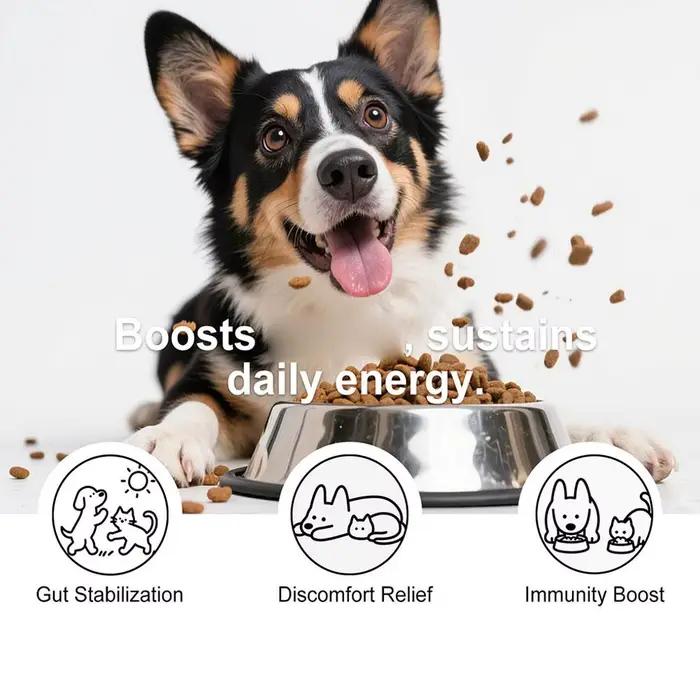 Poudre Probiotique pour Chiens Soin Intestinal Santé Digestive Soutien Immunitaire Saveur Poulet Bœuf Complément Nutritionnel pour Animaux de Compagnie