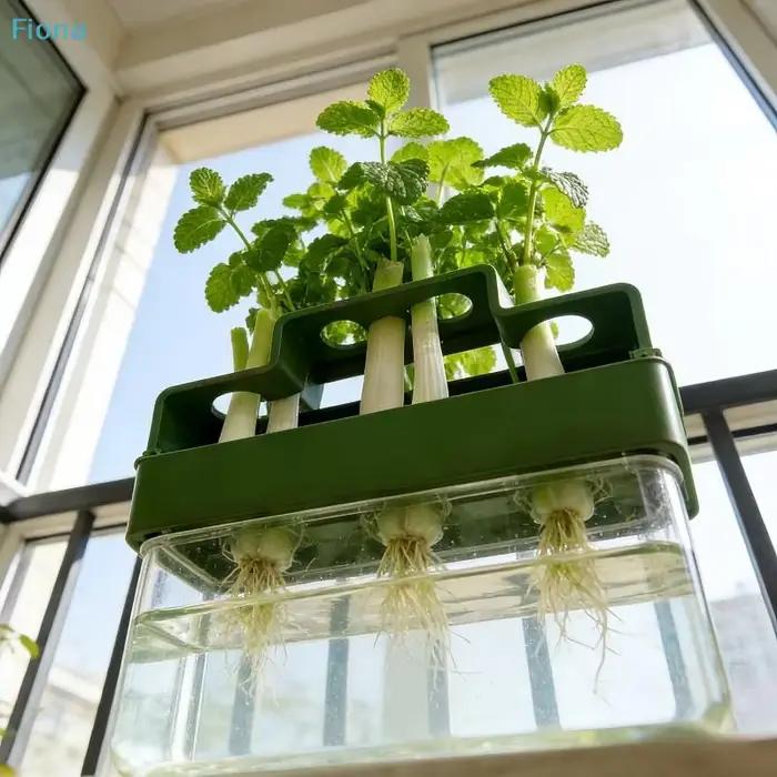 ✔ Jardinière hydroponique pour herbes, kit de culture de légumes d'intérieur à 3 niveaux pour comptoir de cuisine