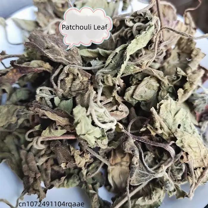 Feuilles de Pogostemon Cablin naturelles séchées (Patchouli/Perilla) pour la fabrication de savons, bougies, encens, parfums domestiques, sachets et garnitures de coussins