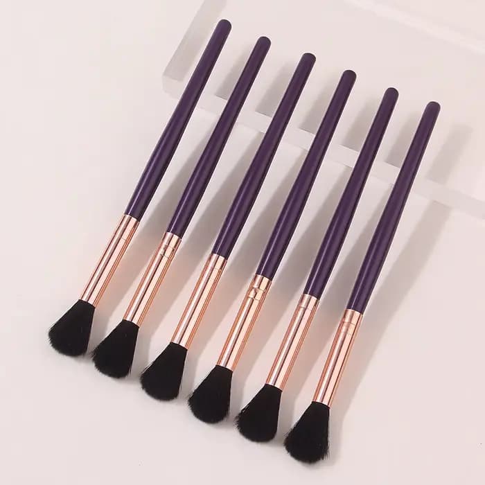 Lot de 6 pinceaux professionnels pour highlighter