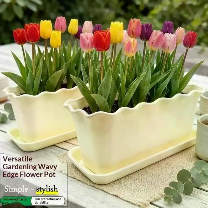 Jardinière rectangulaire à bords ondulés avec soucoupe, épaisse, durable, résistante aux UV, idéale pour balcon, patio, jardinage de fleurs et d'herbes, maison