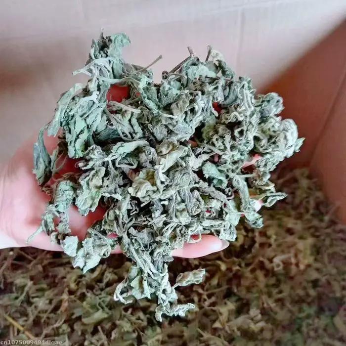 Films de patchwork secs naturels polyvalents, parfum de Regina, parfum de maison, décoration de la maison exécutive, utilisé pour 03/Craft