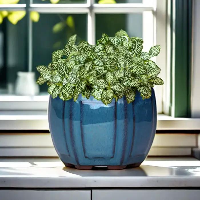 Pots de jardinières de jardin en céramique Pots de plantes en céramique avec trous de Drainage conception pour balcon salon chambre
