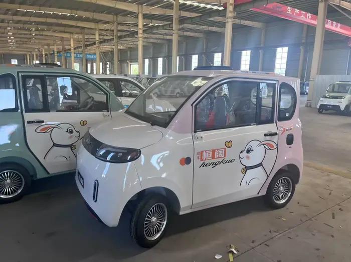 Véhicule électrique à quatre roues, véhicule de déplacement pour personnes âgées à basse vitesse, certification CE européenne