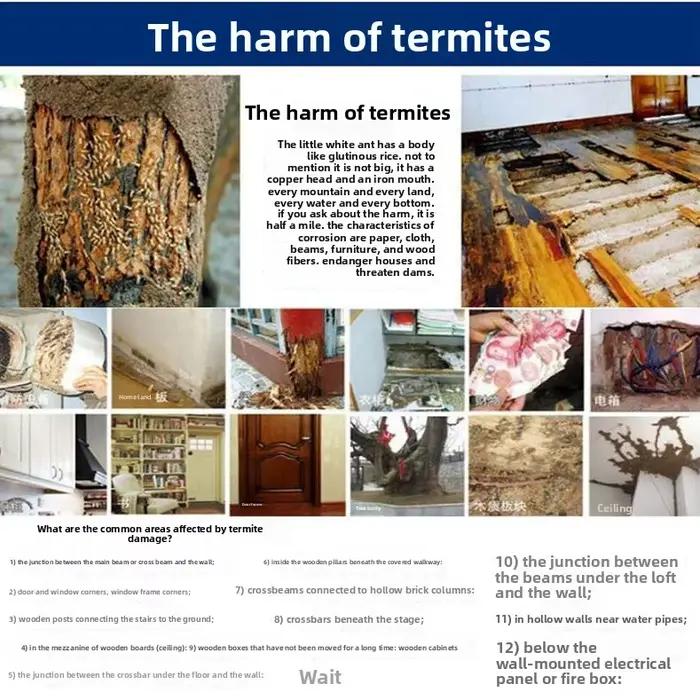 Poudre anti-termites pour la prévention domestique, agent de lutte contre les insectes, décoration de jardin, désinfection, stérilisation, fourmis blanches