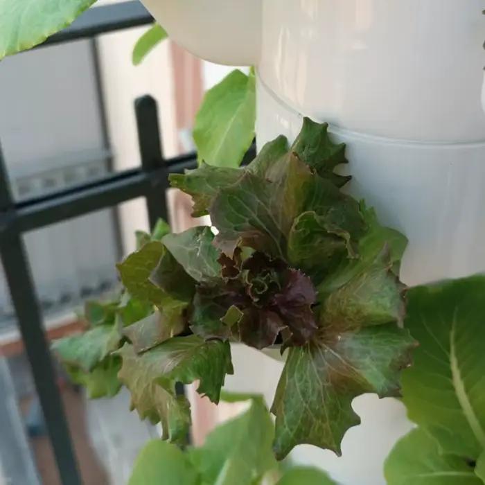 User inières hydroponiques verticales pour balcon, tour de culture sans sol, système Lauren, équipement de plantation de légumes, bricolage