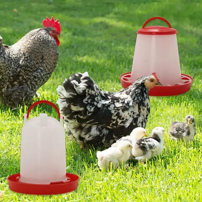 Mangeoire et abreuvoir automatiques pour poulets et oiseaux, 3 kg + 3 L, distributeur d'eau et de nourriture, seau d'alimentation, conteneur